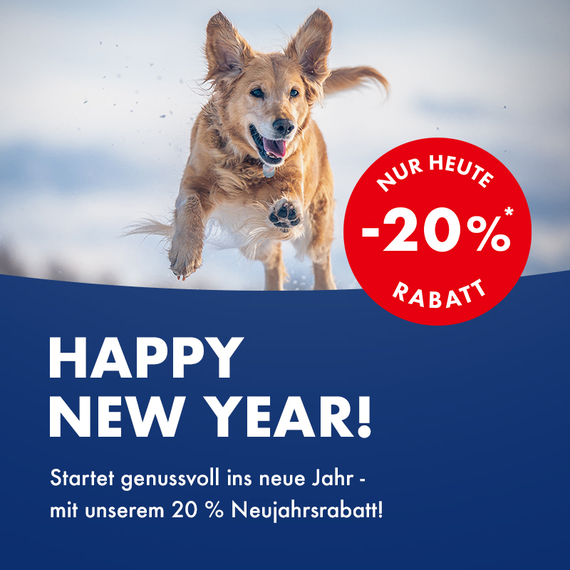 Neujahrs Shopping mit 20% Rabatt auf das ganze Sortiment