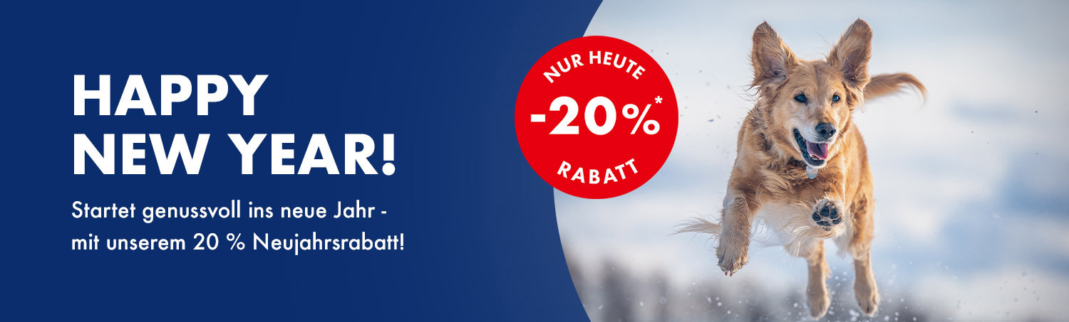 Neujahrs Shopping mit 20% Rabatt auf das ganze Sortiment