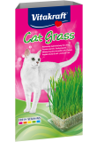 Cat Grass