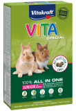 VITA® Special Junior