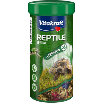 Reptile Special