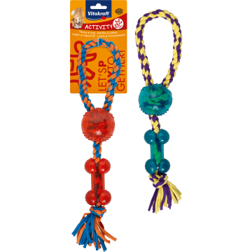 Activity Tau, Knochen, groß