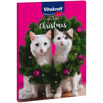 Adventskalender für Katzen