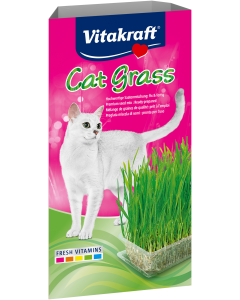 Cat Grass