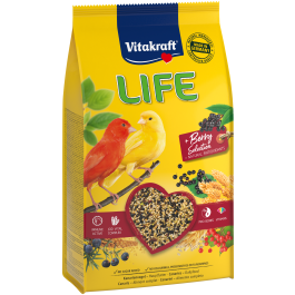 Product-Image for LIFE