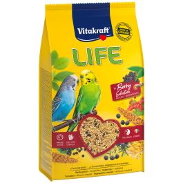 Product-Image for LIFE