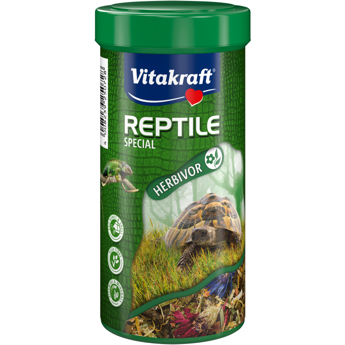 Reptile Special