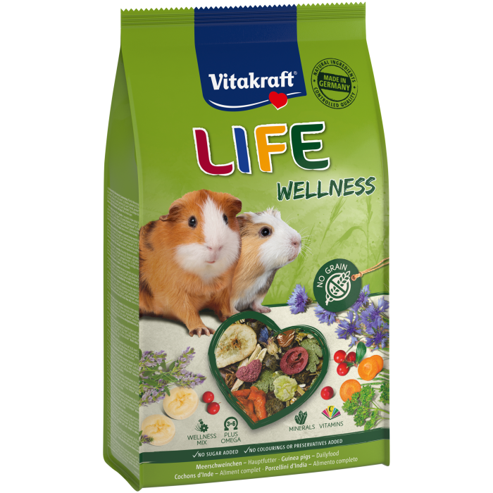 LIFE Wellness