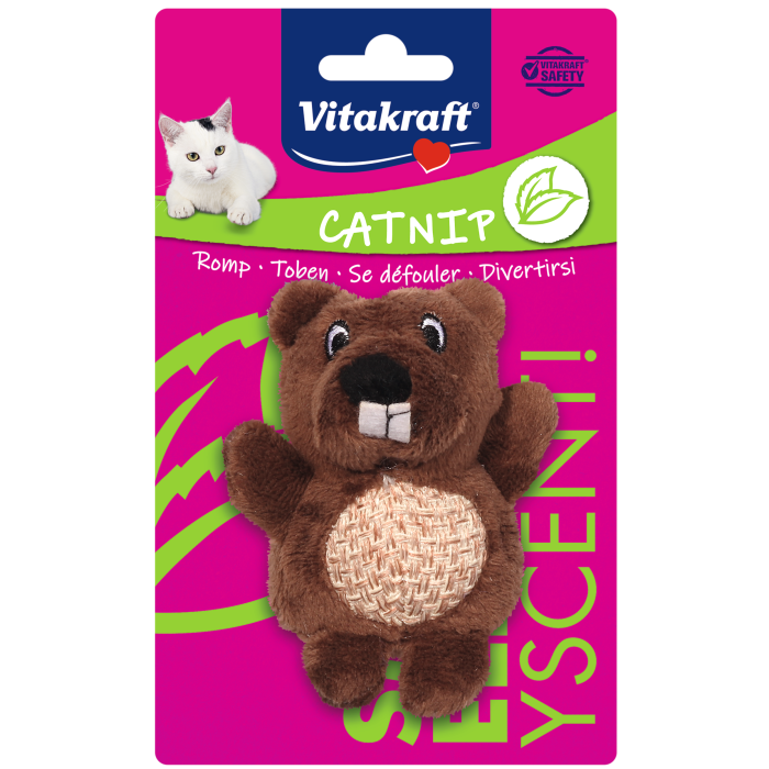 Biber oder Maus + Catnip