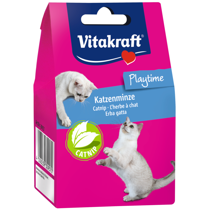 Katzenminze, lose