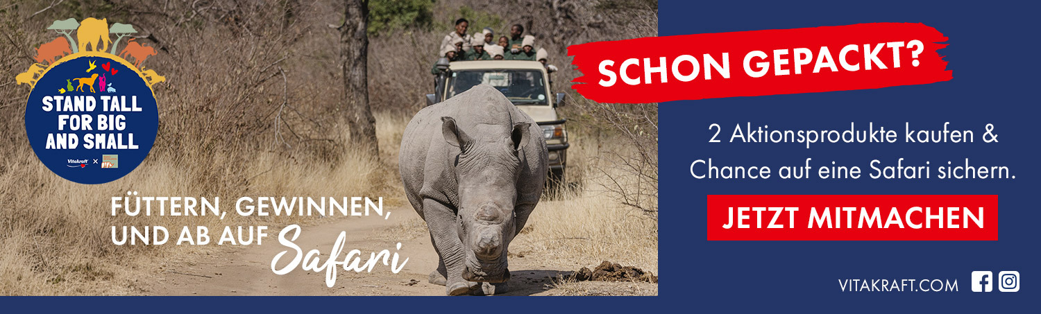 Gewinne bei unserem Gewinnspiel die Chance auf ein Safari-Abenteuer in Südafrika.